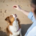 commercial signal intelligence overview