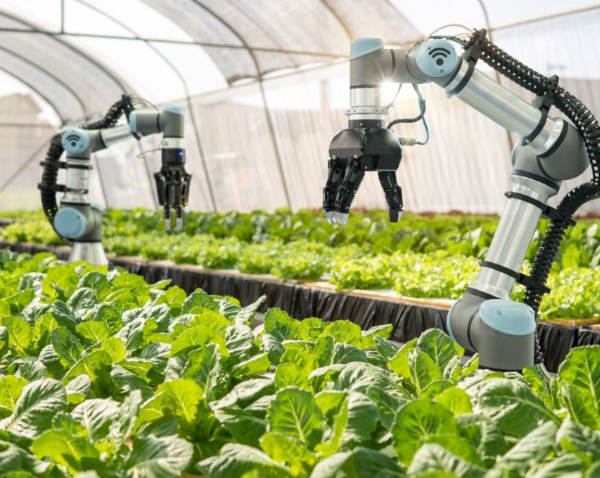 Technology Innovations in Agriculture